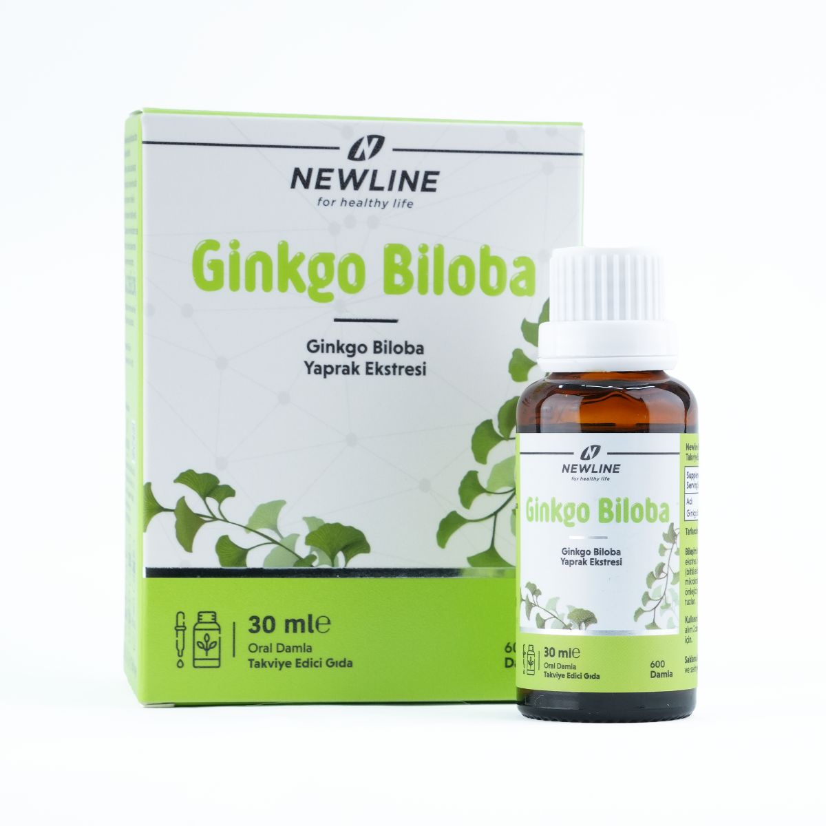 Ginkgo Biloba