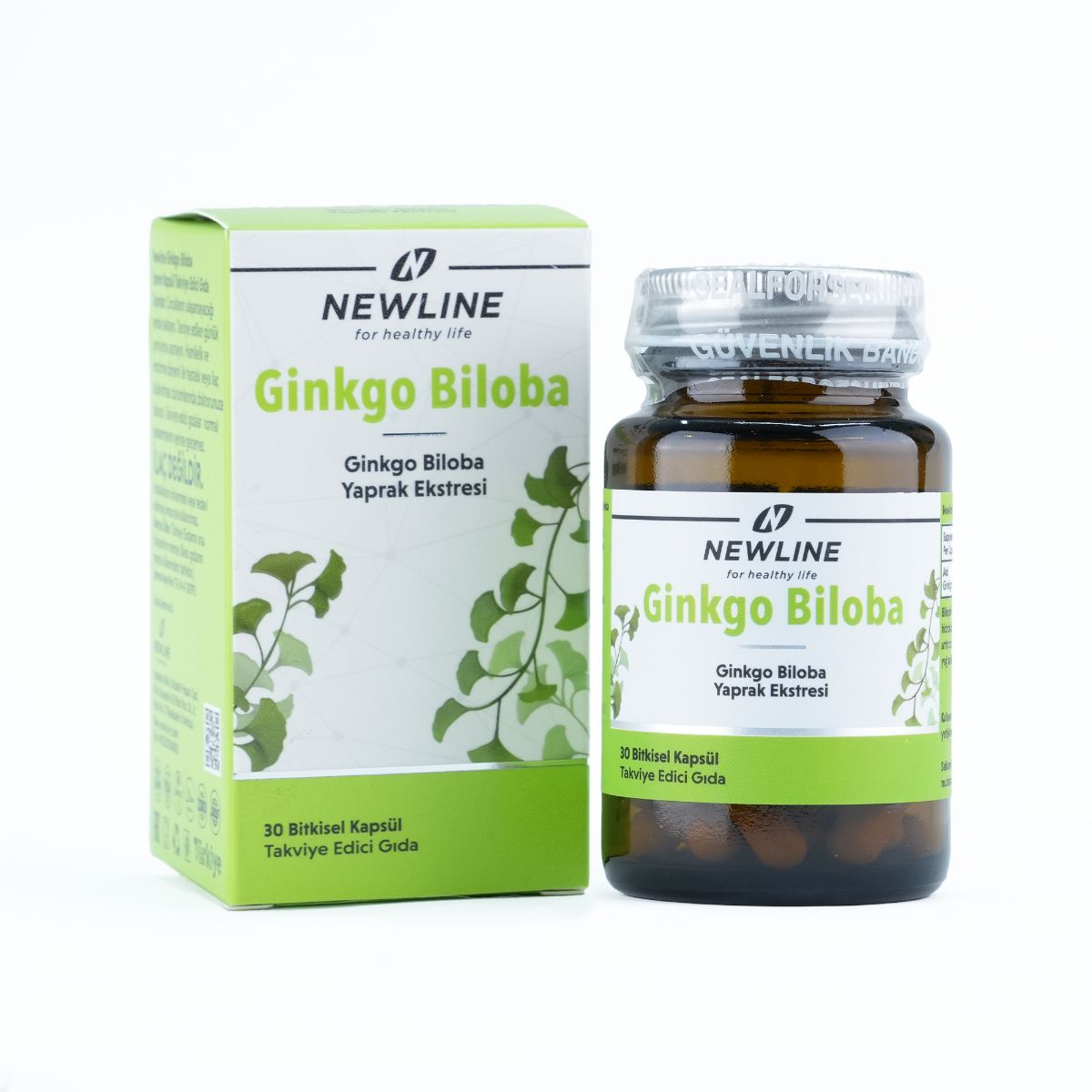 Ginkgo Biloba